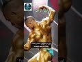 مردی از جنس فولاد سرگرمی Cat آموزش ترفند Kungfu مردی از جنس فولاد سرگرمی Cat آموزش ترفند Kungfu