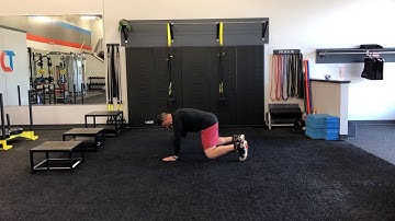 Matthew Ibrahim | All Fours Iso w/ Alternating Shoulder Tap