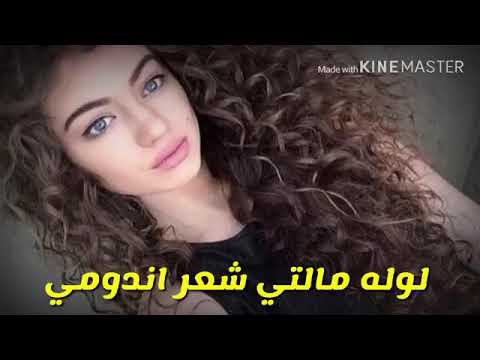 اغنيه كرديه مترجمه يحجي على شعر كيرلي ي ملفلف فدوة الوصف لا تفشلوني هي اول مره اساند كول من طرفي