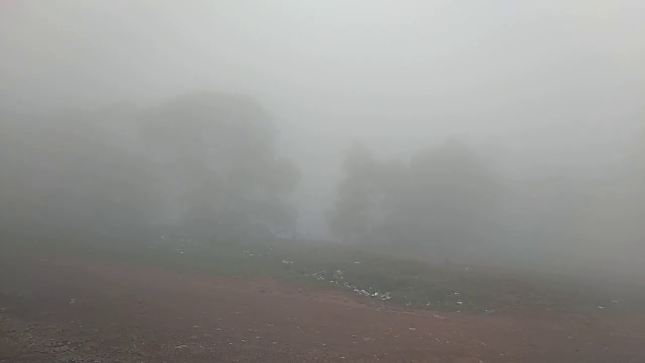 Yercaud Shevaroy Hill with Mist