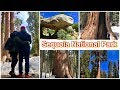 ZOE GRABA A MI PAPA Y TIO + LES PRESENTO A MIS TÍOS DEL RANCHO + VISITA A SEQUOIA ⛰