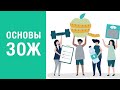 Основы здорового образа жизни - вебинар нутрициолога