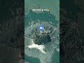 태안 만대 여섬(광어&amp;농어,밤엔우럭밭) #fishing #낚시 #낚시꿀팁 #태안군 #여섬