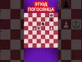 💥КОРОЛЬ В КЛЕТКЕ - HARD #chesspuzzle #шахматныезадачи #шахматы #chess