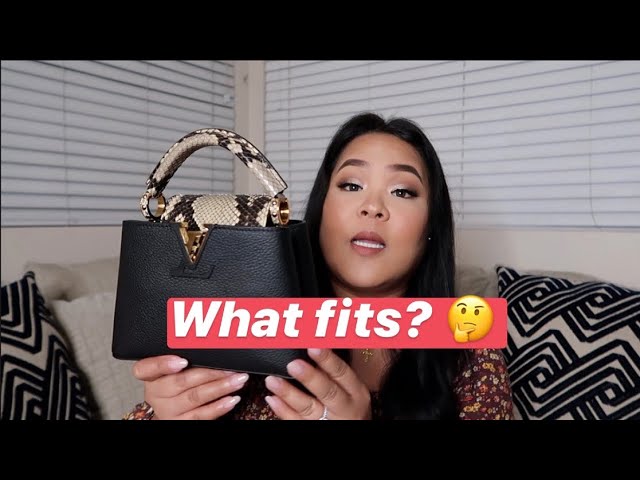 LOUIS VUITTON UNBOXING  CAPUCINES PYTHON MINI 