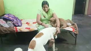 सबसकरइबर क रकवसट पर आज डमर क सटगऔर डमर क पर स झलयडन क बहत मज आय