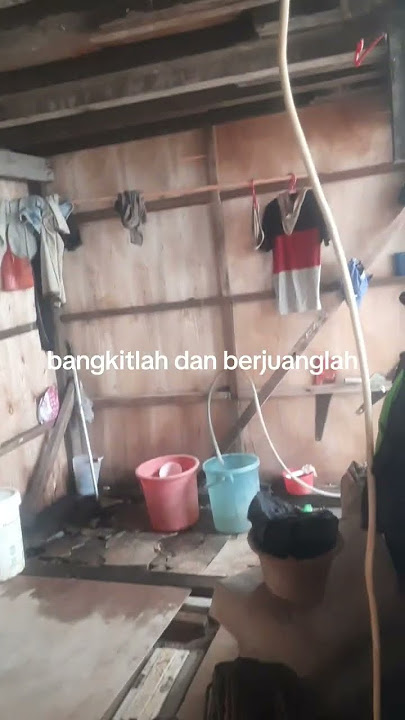 bangkilah dan berjuanglah#4u #shortvideo #shortsyoutube #babycat #catlovers #cats #meow