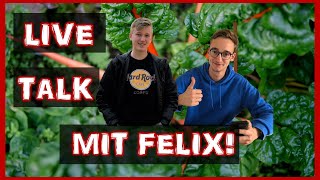 Wir kaufen live ein! | Livestream mit Felix!