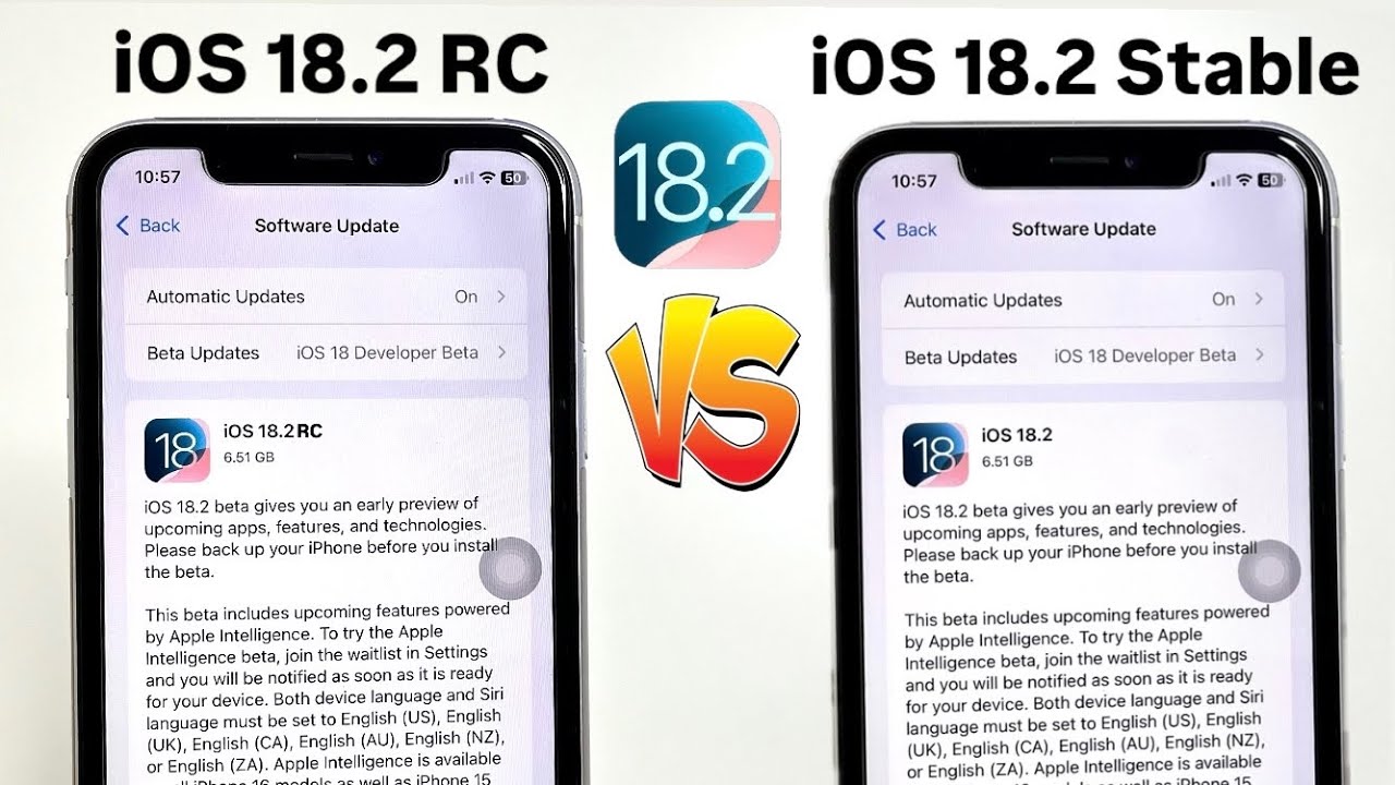 iOS 18.2 RC or iOS 18.2 Stable Update - Which you need to install on ...