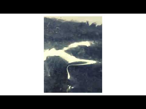 Водорості Фуеро Вакаме 500 г, видео 1