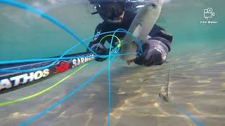 Acemi Zipkinci Ve Zipkin Avi Barbun, Kefal ?