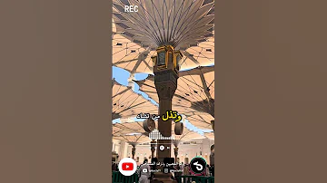 قضاء الدين اكسبلور حبيبالبشريه حب النبي يجمعنا 