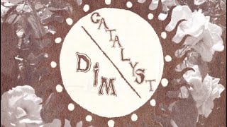 catalyst / dim split