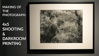 Shooting and Darkroom-Printing 4x5 Large Format for Exhibition