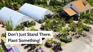 Don't Just Stand There - Plant Something!