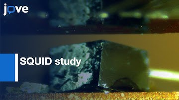 Local Contact to scan SQUID study of Vortex Manipulation | Protocol Preview