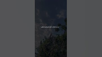 #راحه_وطمأنينه_للقلب #القرآن_الكريم #تلاوة_هادئة #رمضان #راحة_نفسية #الهدايا #تلاوة_خاشعة #القرآن_