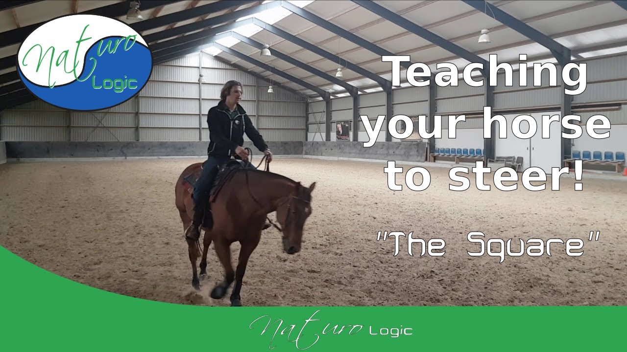 Teaching your horse to steer! "The Square" YouTube