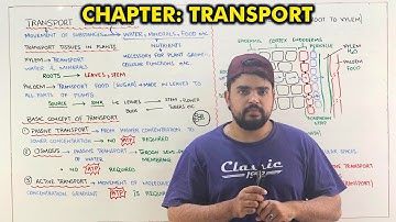 Class 9th chapter 9: Transport (One shot lecture)