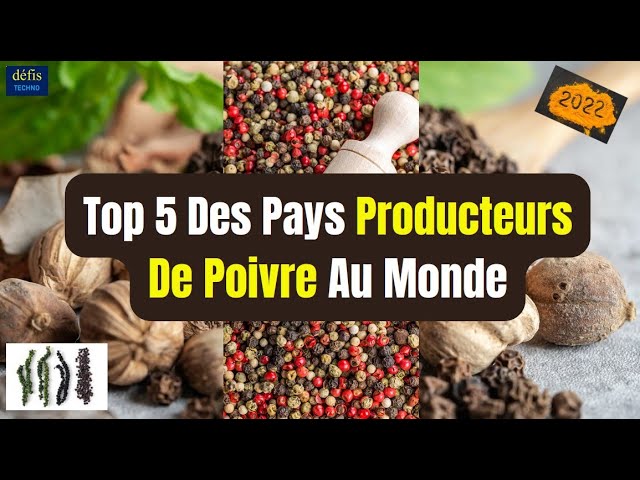 Top 5 des Pays Producteurs de Poivre au Monde 