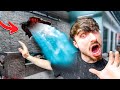 Everything Is Going Wrong At The Aquarium!