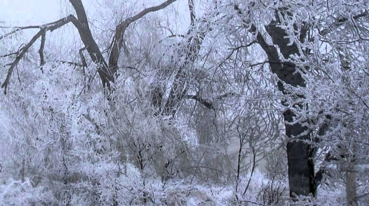 Es ist ein Ros entsprungen (Christmas Song) Es ist ein Ros entsprungen (Christmas Song)