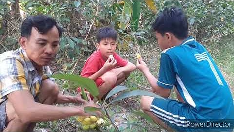 Câu cá bóng dừa Bến Tre không lưởi bằng mồi sên huyền thoại.