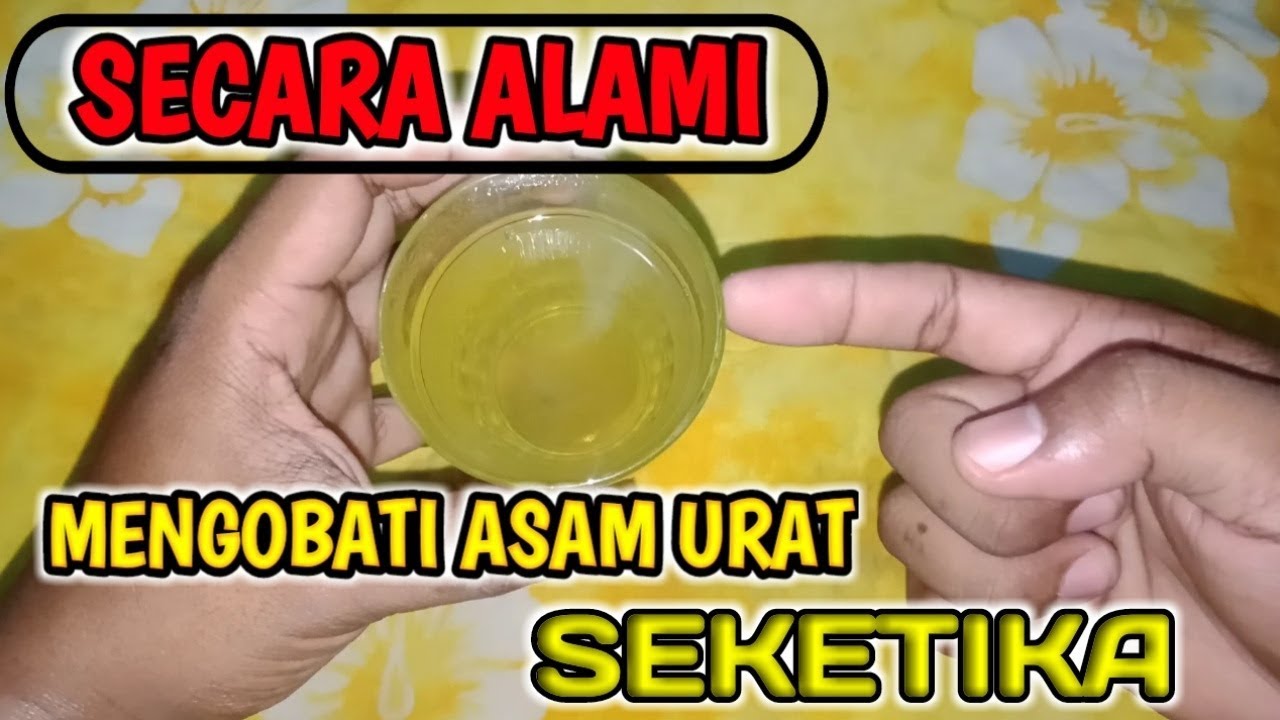 Cara mengobati asam urat secara alami || Obat asam urat paling ampuh