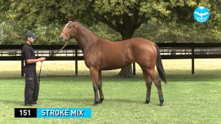 151 Stroke Mix