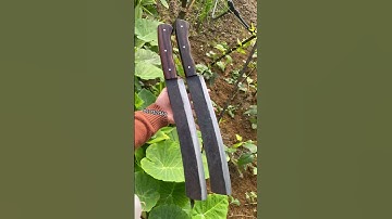 Parang chặt cây chặt xương _nhíp đỏ sắc bền lưỡi #daodirung  #blacksmith  #daonhip