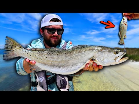 THIS is the EASIEST Way to Catch GIANTS On the Flats in MAY! **MULTIPLE BIG FISH CAUGHT**