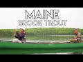 Maine Brook Trout Fishing