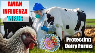 Protecting Dairy Farms: Biosecurity Against Avian Influenza
