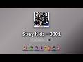 Stray Kids (스트레이 키즈) – 0801 | Color Coded Lyrics 🎶