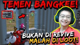 DAPET SETIM BANGKE!! TEMEN KNOCK KAGAK DIREVIVE MALAH DI LOOTING!! WAKAKAKA | PUBG MOBILE