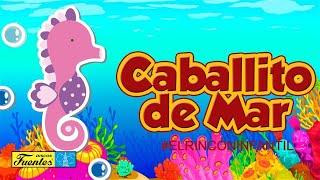 Caballito de mar - Canto Alegre / Discos Fuentes chords