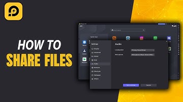 how to share files between LDPlayer and your computer.