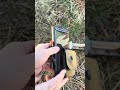 Turley Custom Knives Soldier River & Custom Sheath #review #collector #tool #bushcraft #survival