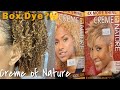 BOX DYE? Creme of Nature - Ginger Blonde & Honey Blonde - Ombre?