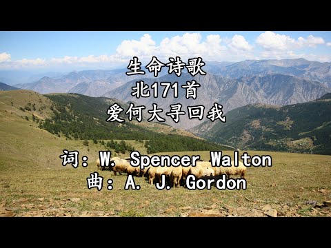 生命诗歌 北171 大196 爱何大寻回我