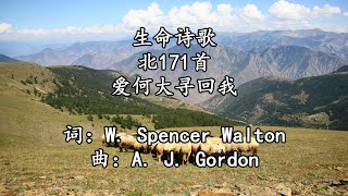 北171 大196 爱何大寻回我