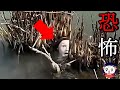 【心霊＆恐怖映像】世界の怖くて不思議な映像…１０選