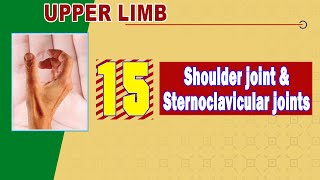 15. Shoulder joint + Sternoclavicular joints screenshot 4