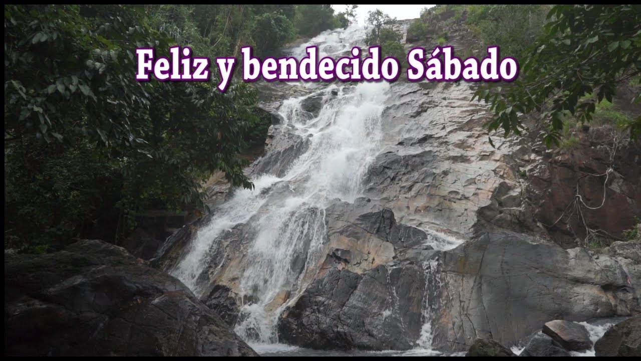 Feliz y Bendecido Sábado donante y donatario
