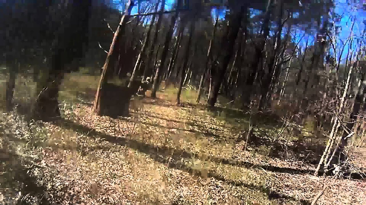 Taking The Nest with SAS Woodsball