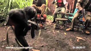 Ape With AK-47 - Обезьяна с автоматом Калашникова