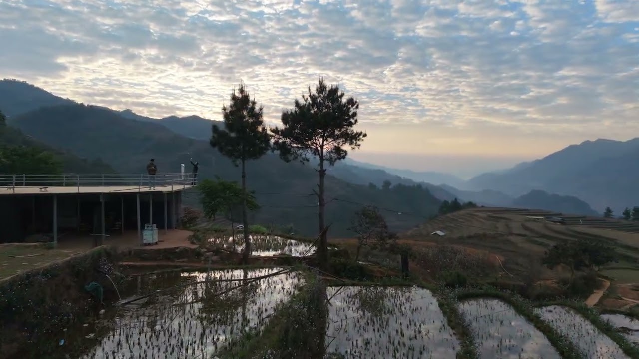 Võng lúa ( móng ngựa ) Mù Cang Chải 22/02/2026