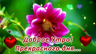 💖ДОБРОЕ УТРО! 💖САМЫЕ ДОБРЫЕ ПОЖЕЛАНИЯ💖 ПРЕКРАСНОМУ ЧЕЛОВЕКУ! 💖