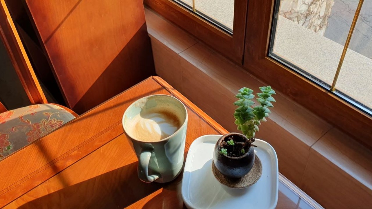 ［Playlist］Cafe music 따뜻한 햇살 아래, 마음이 천천히 맑아지는 오전의 카페 음악