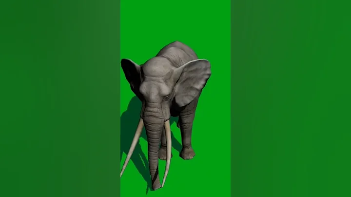 animal green screen video #shorts